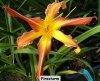 no image available at present.JPG 